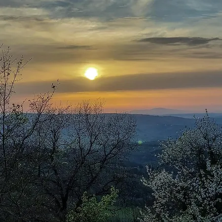 La Casa Nel Bosco D'arte- Greve In Chianti, House With Private Garden Villa Greve in Chianti